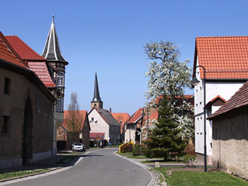 ALT